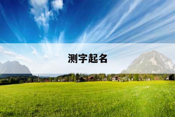 测字起名