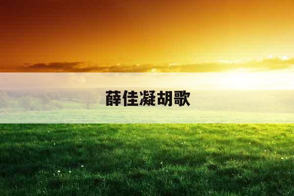 薛佳凝胡歌
