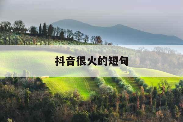 抖音很火的短句