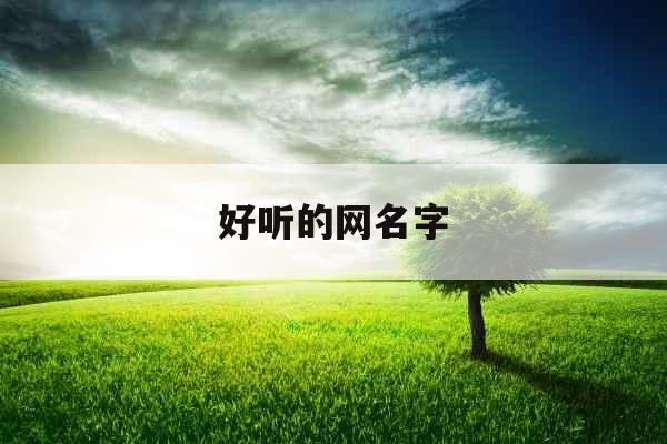 好听的网名字