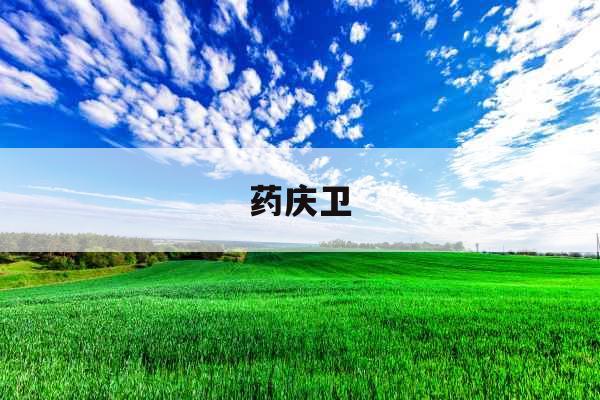 药庆卫