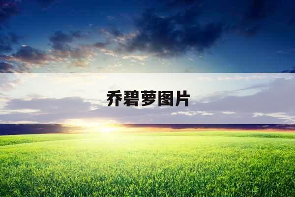 乔碧萝图片