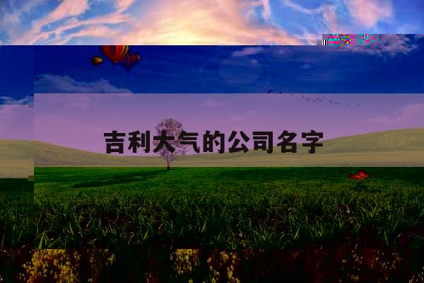 吉利大气的公司名字