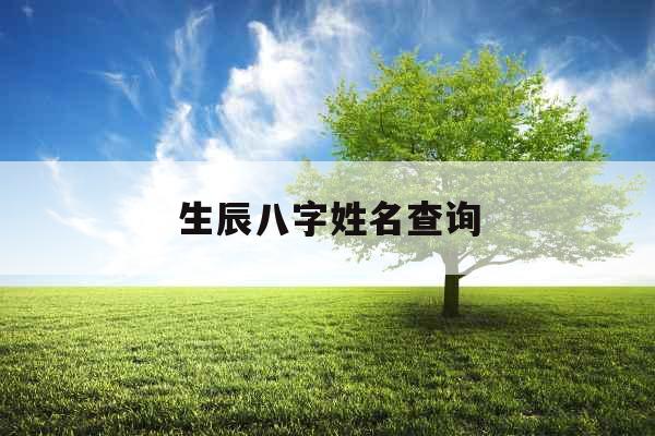 生辰八字姓名查询