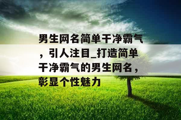 男生网名简单干净霸气，引人注目_打造简单干净霸气的男生网名，彰显个性魅力