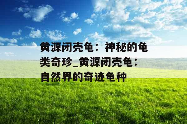 黄源闭壳龟：神秘的龟类奇珍_黄源闭壳龟：自然界的奇迹龟种