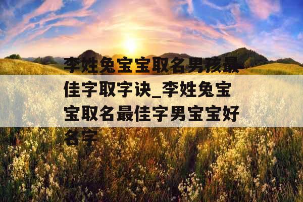 李姓兔宝宝取名男孩最佳字取字诀_李姓兔宝宝取名最佳字男宝宝好名字