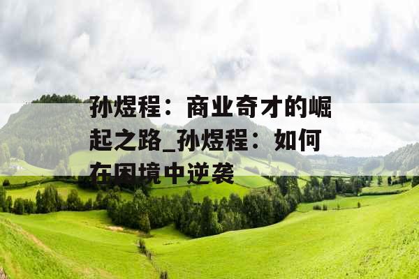 孙煜程：商业奇才的崛起之路_孙煜程：如何在困境中逆袭