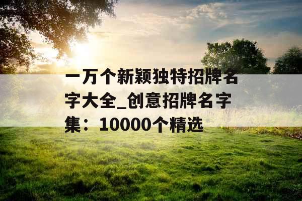 一万个新颖独特招牌名字大全_创意招牌名字集：10000个精选