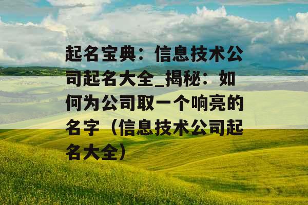 起名宝典：信息技术公司起名大全_揭秘：如何为公司取一个响亮的名字（信息技术公司起名大全）