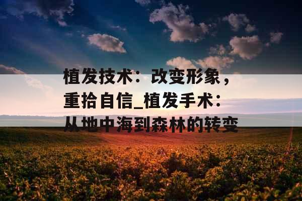 植发技术：改变形象，重拾自信_植发手术：从地中海到森林的转变