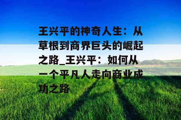 王兴平的神奇人生：从草根到商界巨头的崛起之路_王兴平：如何从一个平凡人走向商业成功之路