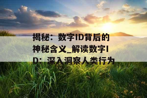 揭秘：数字ID背后的神秘含义_解读数字ID：深入洞察人类行为