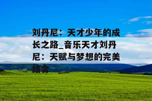 刘丹尼：天才少年的成长之路_音乐天才刘丹尼：天赋与梦想的完美结合
