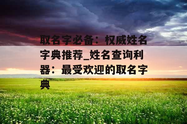 取名字必备：权威姓名字典推荐_姓名查询利器：最受欢迎的取名字典