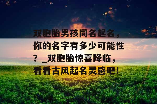 双胞胎男孩同名起名，你的名字有多少可能性？_双胞胎惊喜降临，看看古风起名灵感吧！