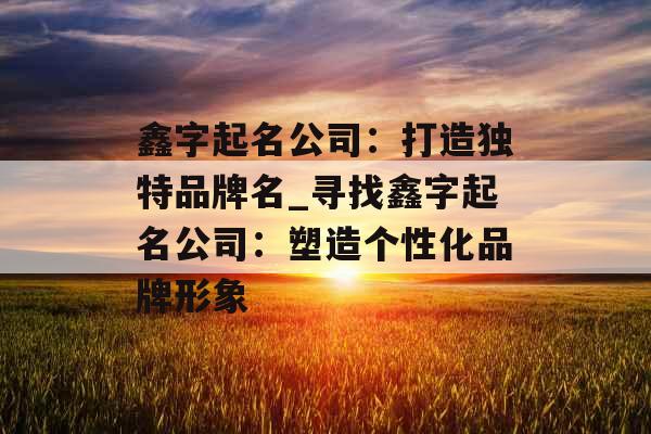 鑫字起名公司:打造独特品牌名_寻找鑫字起名公司:塑造个性化品牌形象