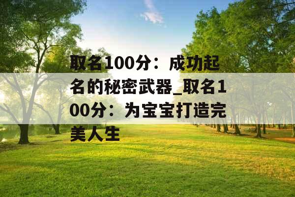 取名100分：成功起名的秘密武器_取名100分：为宝宝打造完美人生