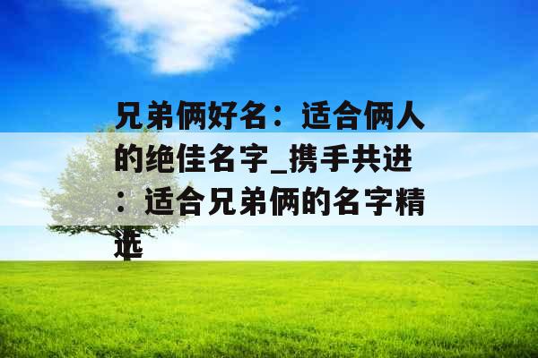 兄弟俩好名：适合俩人的绝佳名字_携手共进：适合兄弟俩的名字精选