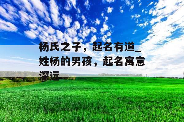 杨氏之子，起名有道_姓杨的男孩，起名寓意深远