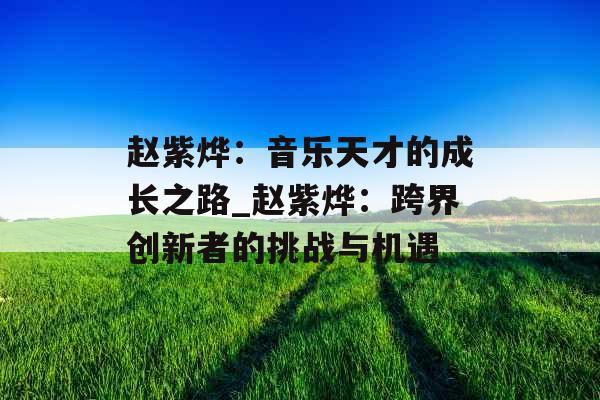 赵紫烨：音乐天才的成长之路_赵紫烨：跨界创新者的挑战与机遇