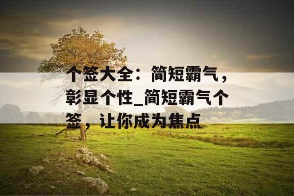 个签大全：简短霸气，彰显个性_简短霸气个签，让你成为焦点