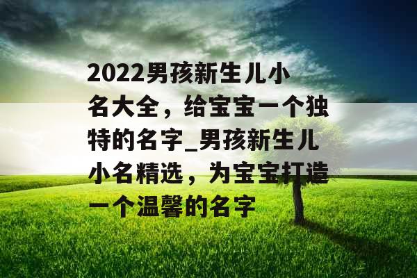 2022男孩新生儿小名大全，给宝宝一个独特的名字_男孩新生儿小名精选，为宝宝打造一个温馨的名字