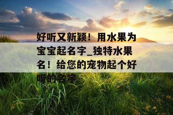 好听又新颖！用水果为宝宝起名字_独特水果名！给您的宠物起个好听的名字