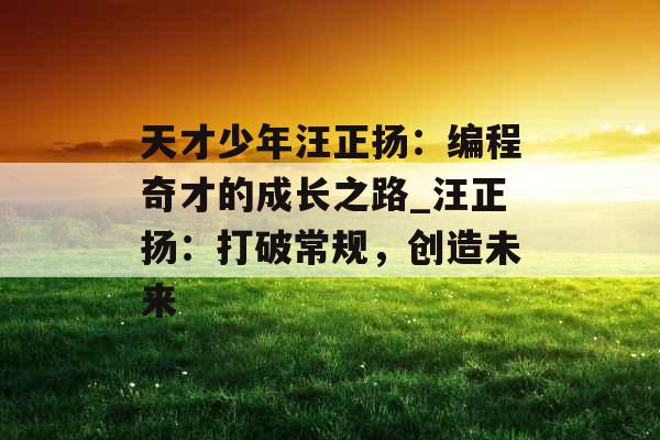天才少年汪正扬:编程奇才的成长之路_汪正扬:打破常规,创造未来