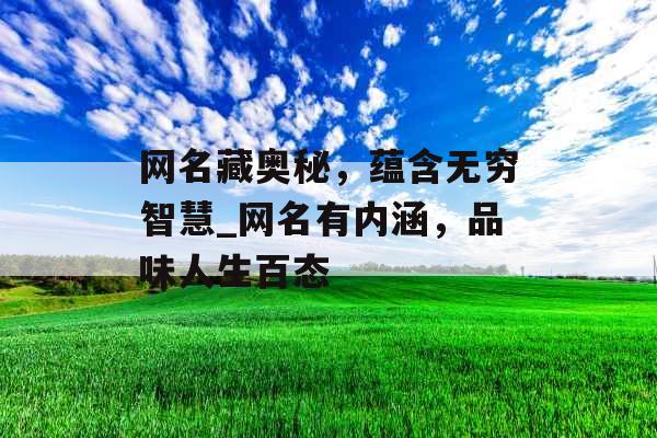 网名藏奥秘，蕴含无穷智慧_网名有内涵，品味人生百态