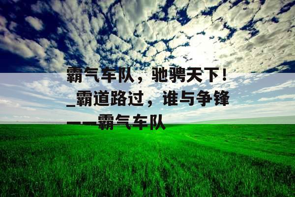 霸气车队,驰骋天下!_霸道路过,谁与争锋——霸气车队