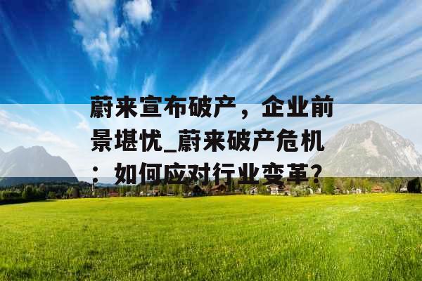 蔚来宣布破产，企业前景堪忧_蔚来破产危机：如何应对行业变革？