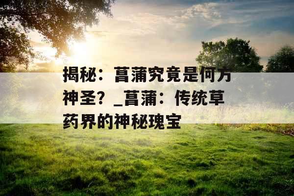 揭秘：菖蒲究竟是何方神圣？_菖蒲：传统草药界的神秘瑰宝