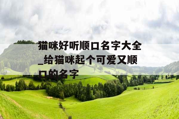猫咪好听顺口名字大全_给猫咪起个可爱又顺口的名字