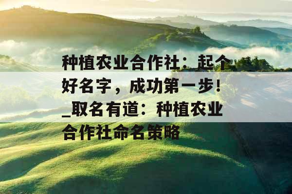 种植农业合作社：起个好名字，成功第一步！_取名有道：种植农业合作社命名策略