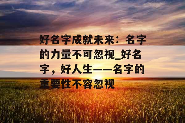 好名字成就未来：名字的力量不可忽视_好名字，好人生——名字的重要性不容忽视