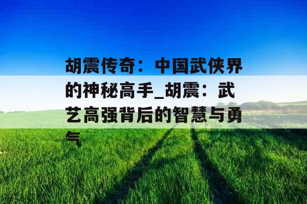 胡震传奇:中国武侠界的神秘高手_胡震:武艺高强背后的智慧与勇气