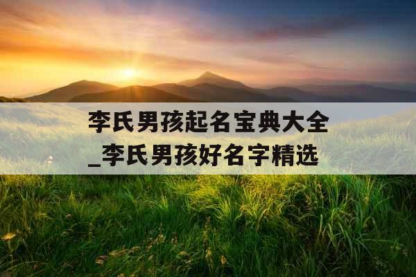 李氏男孩起名宝典大全_李氏男孩好名字精选