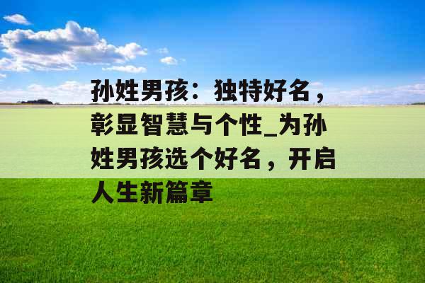 孙姓男孩：独特好名，彰显智慧与个性_为孙姓男孩选个好名，开启人生新篇章