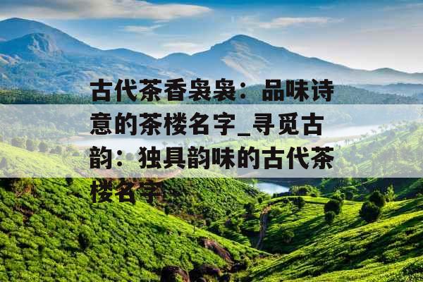 古代茶香袅袅：品味诗意的茶楼名字_寻觅古韵：独具韵味的古代茶楼名字