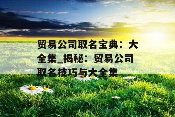 贸易公司取名宝典：大全集_揭秘：贸易公司取名技巧与大全集