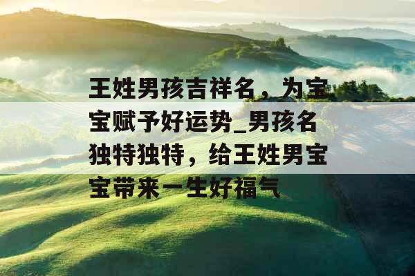 王姓男孩吉祥名，为宝宝赋予好运势_男孩名独特独特，给王姓男宝宝带来一生好福气