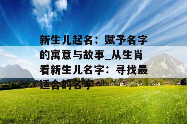 新生儿起名：赋予名字的寓意与故事_从生肖看新生儿名字：寻找最适合的名字