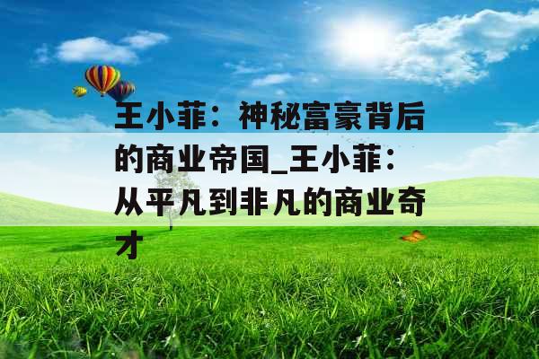 王小菲：神秘富豪背后的商业帝国_王小菲：从平凡到非凡的商业奇才