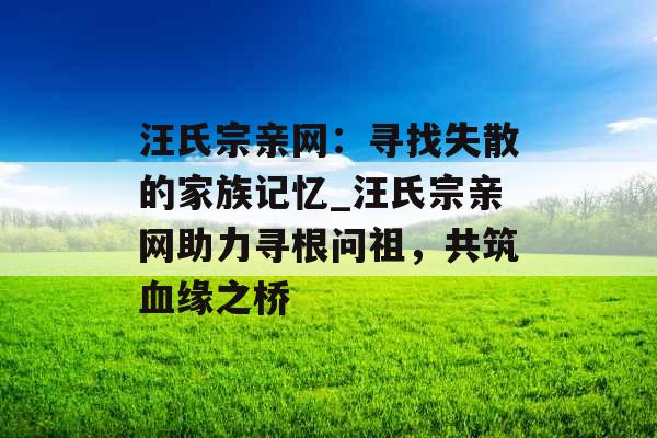 汪氏宗亲网:寻找失散的家族记忆_汪氏宗亲网助力寻根问祖,共筑血缘之桥
