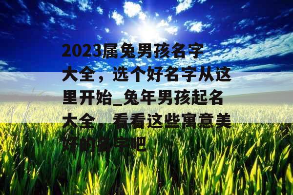 2023属兔男孩名字大全，选个好名字从这里开始_兔年男孩起名大全，看看这些寓意美好的名字吧