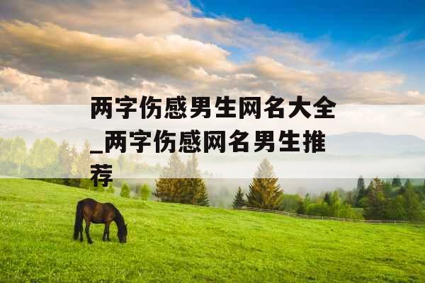 两字伤感男生网名大全_两字伤感网名男生推荐
