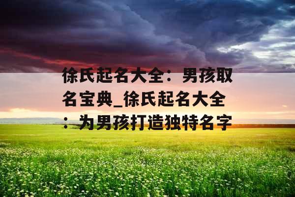 徐氏起名大全：男孩取名宝典_徐氏起名大全：为男孩打造独特名字