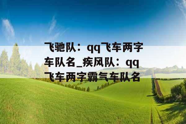 飞驰队：qq飞车两字车队名_疾风队：qq飞车两字霸气车队名