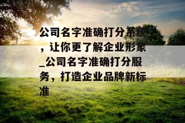 公司名字准确打分系统，让你更了解企业形象_公司名字准确打分服务，打造企业品牌新标准